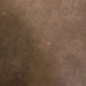 Meet your Posher, Lilia